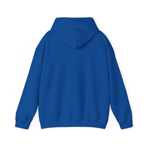 KNICKS NYC HOODIE (Limited)